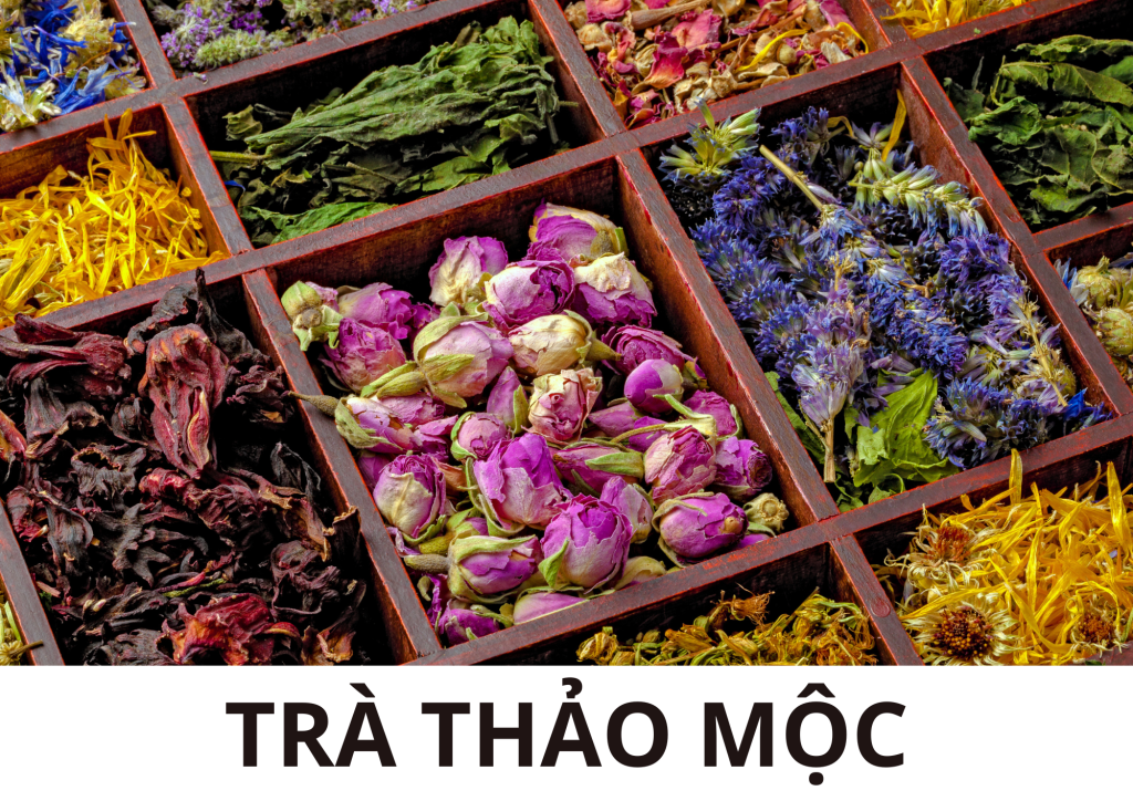 CÁC LOẠI TRÀ THẢO MỘC