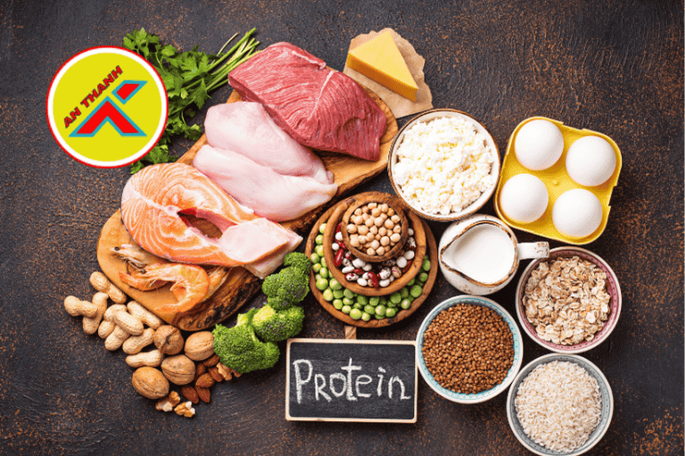 protein trong việc xây dựng cơ bắp